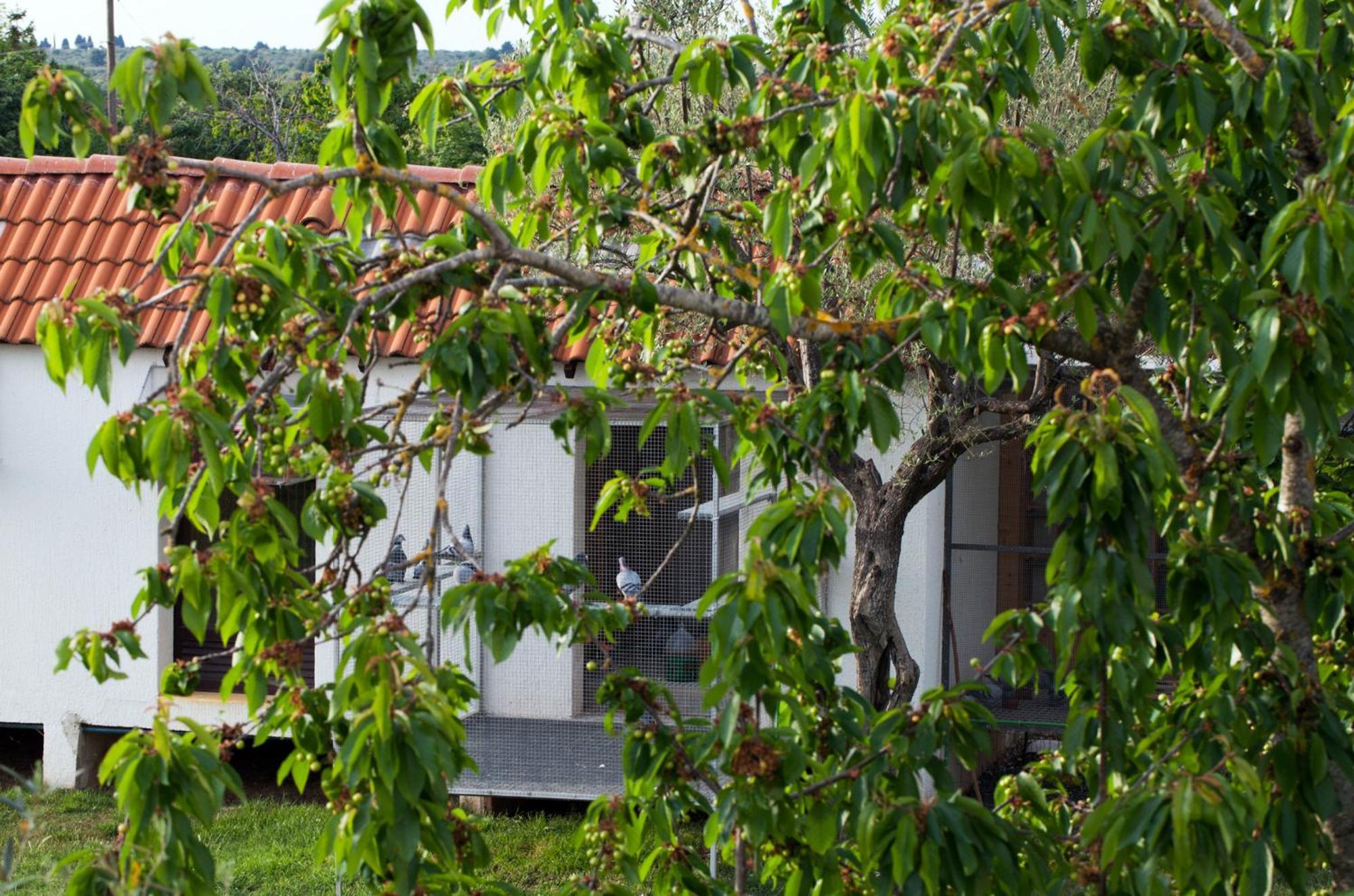 B&B Moderno Fažana Habitación foto